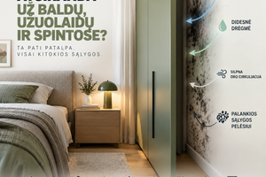 Kodėl pelėsis pirmiausia atsiranda už baldų, užuolaidų ir spintose?