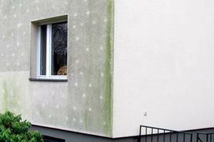 ThermoProtect termokeraminiai fasado dažai nuo dumblių ir samanų