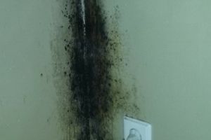 Atraskite ThermoVital &ndash; Saugų sprendimą nuo pelėsio